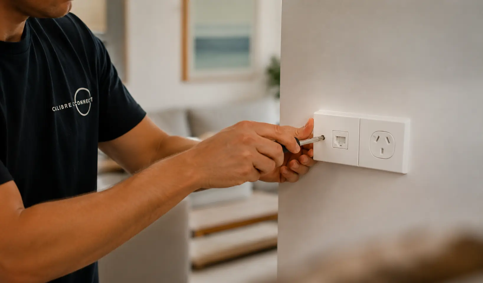 What Are Data Points and Wall Plates