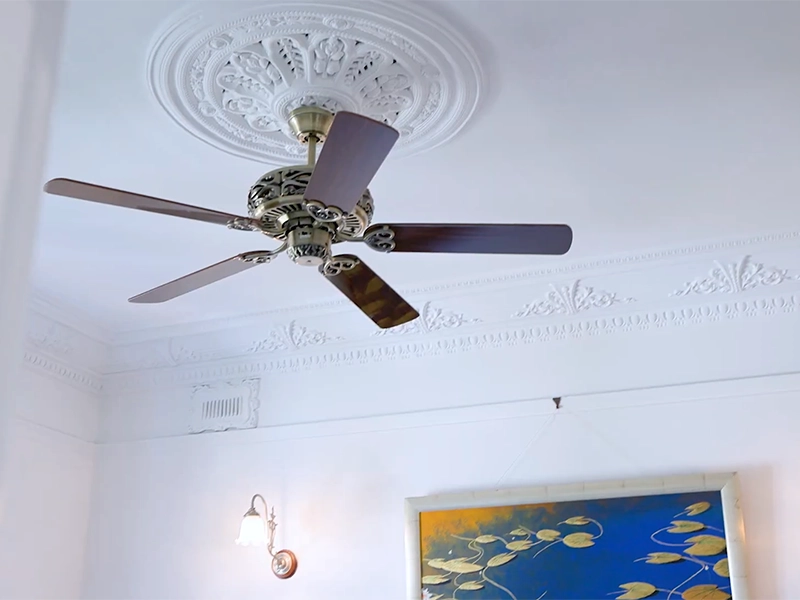 Ceiling fan installed in a Sydney Federation home with decorative ceiling rose